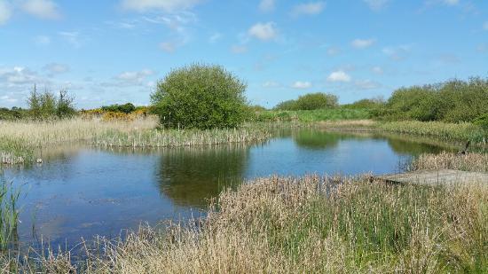 Wexford Wildfowl Reserve